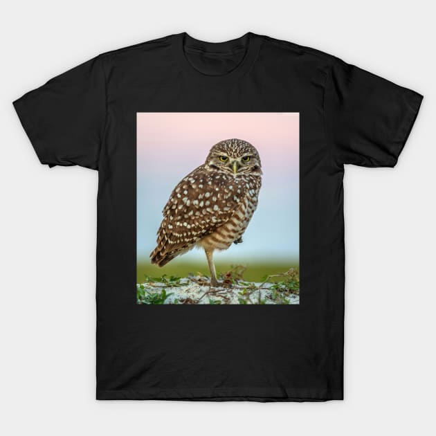 Burrowing Owl at Dusk T-Shirt by TonyNorth